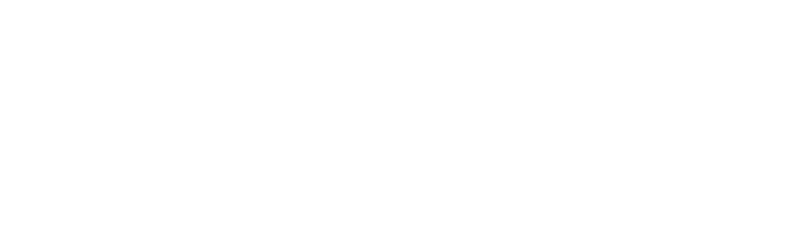 Dynamic Minds Group